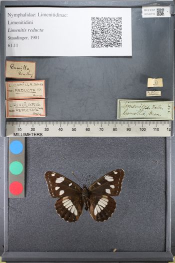 Media type: image;   Entomology 140716
